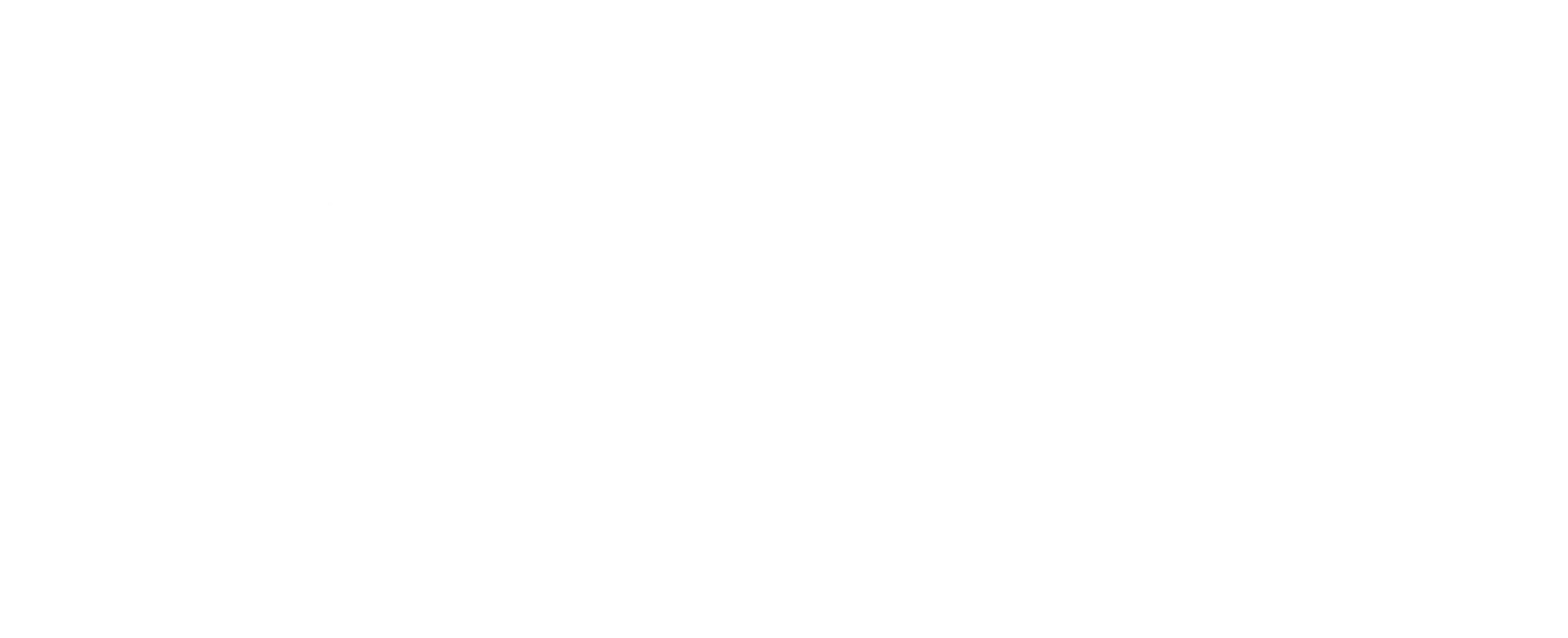 Radiant Dynamic Services logo